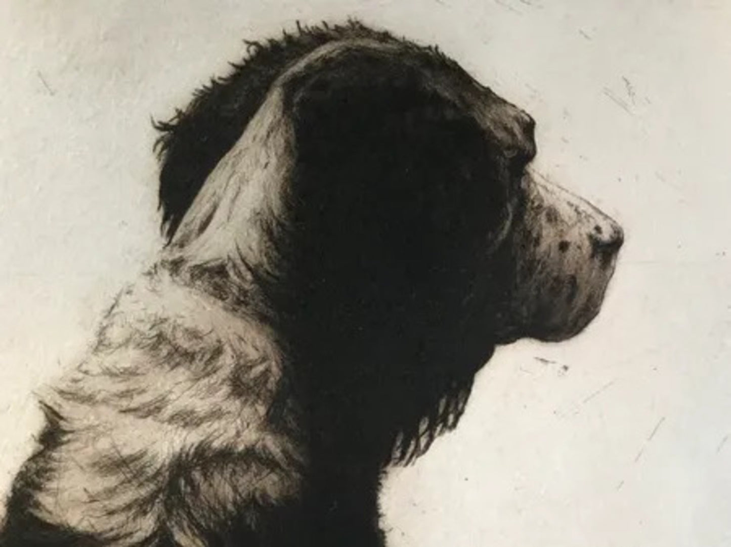 Phoebe by Helen Fay, detail 1