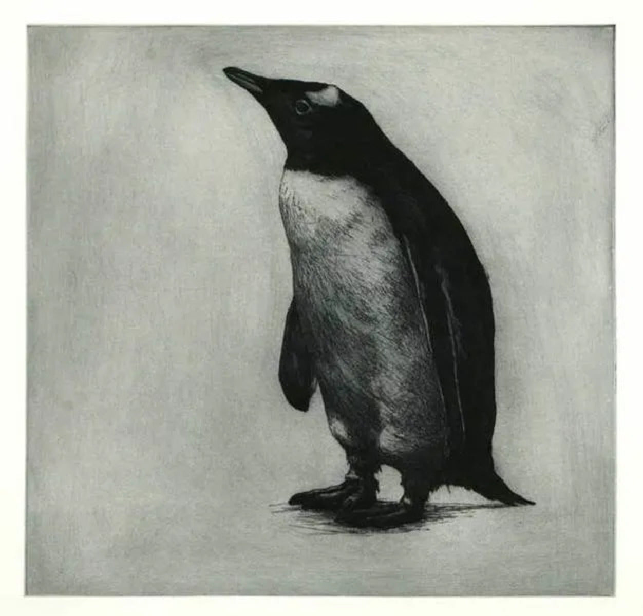 Hmm... Fish by Helen Fay, original printmaking