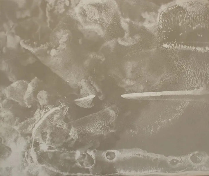 Anthropocene #4 by Emily Carrell, original photography