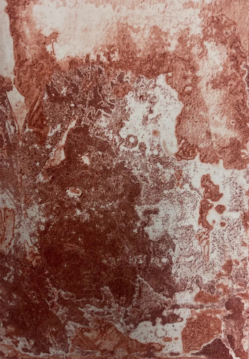 Forms of Serenity by Kaiya Khatri, original printmaking