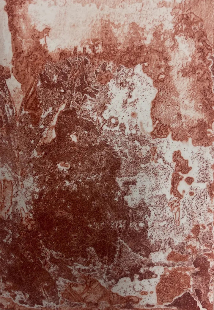Forms of Serenity by Kaiya Khatri, original printmaking