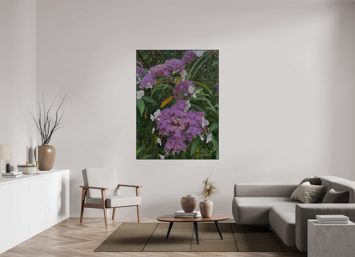 120 x 160 cm, ALU BRUSHED SILVER ARTBOX BLACK Lilac Lacecap