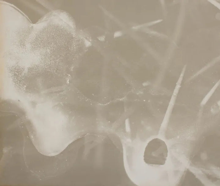 Anthropocene #3 by Emily Carrell, original photography