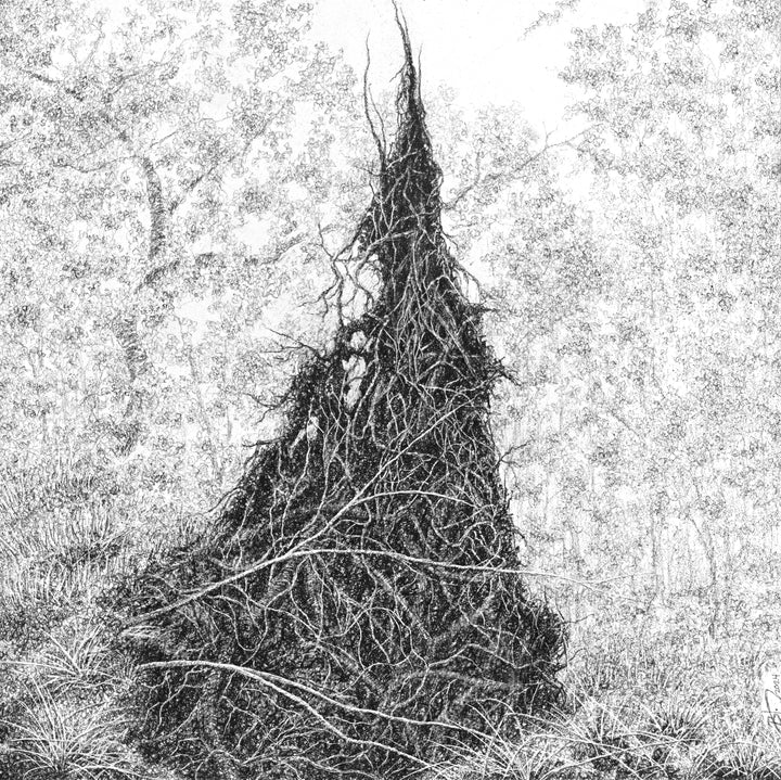 Revision (Root Plate), 2024 by Blake Milteer