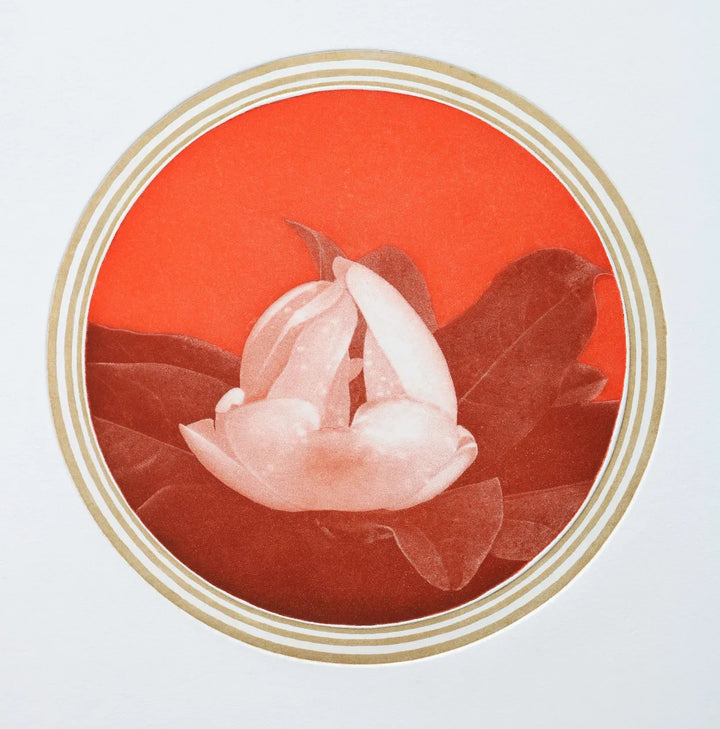 White Flower 4 by Emiko Aida