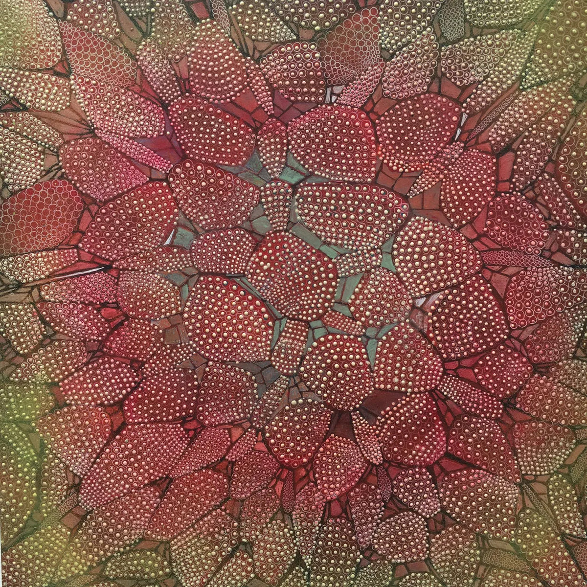 Dehescience by Sara Willett