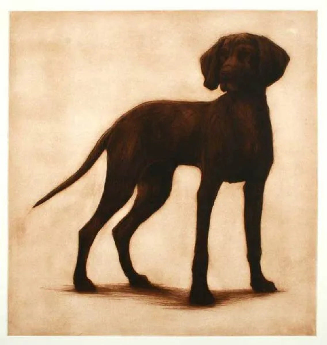 Henry by Helen Fay, original printmaking