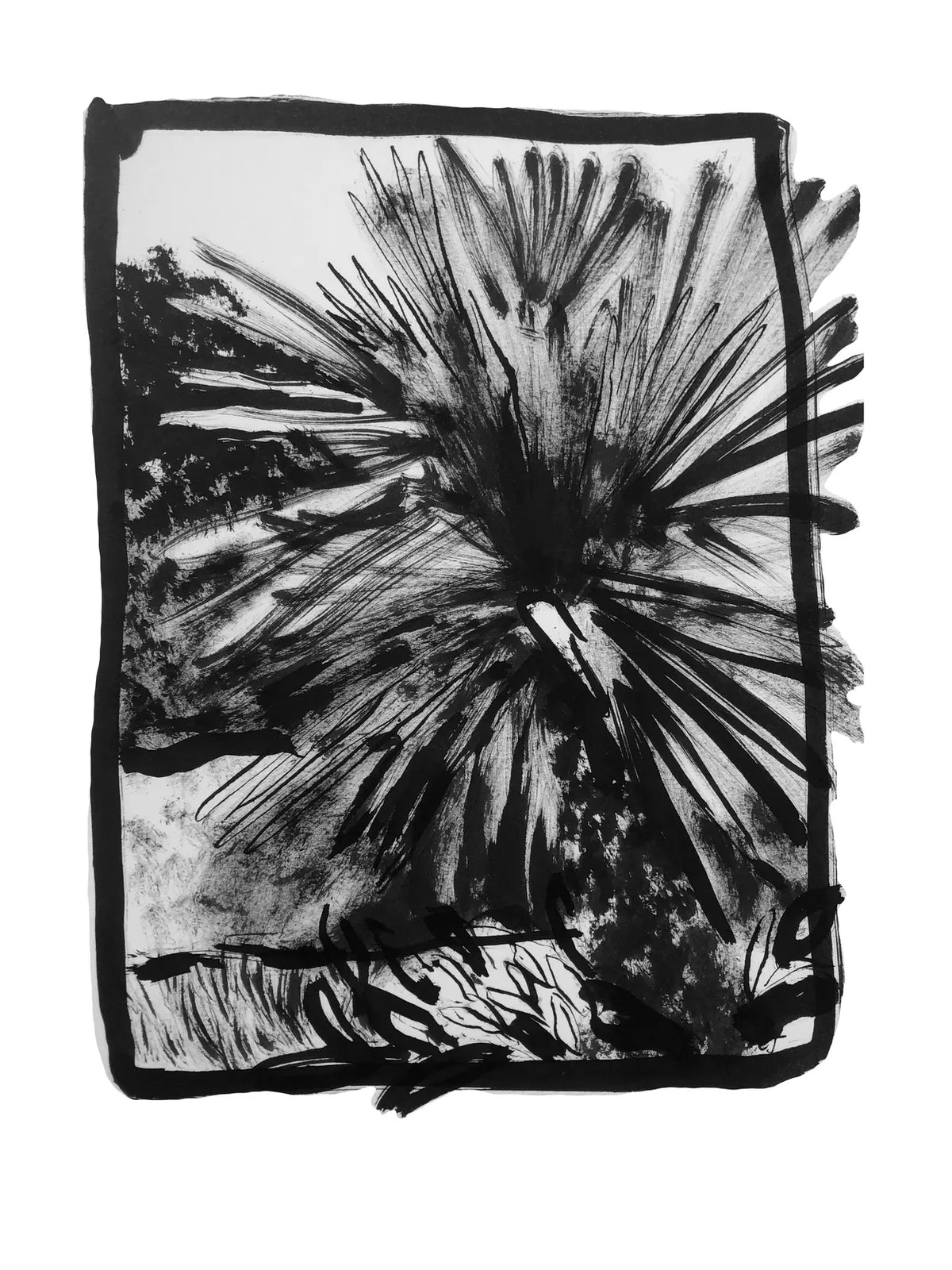 Fan Palm Study III by Charlotte Johnston
