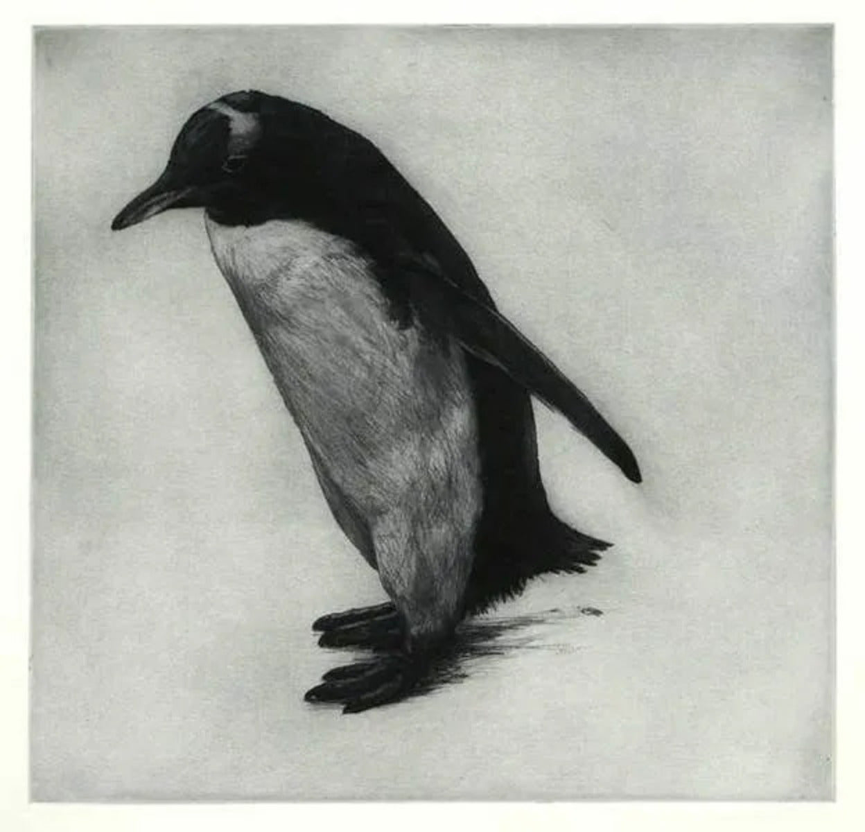 Homeward Bound by Helen Fay, original printmaking