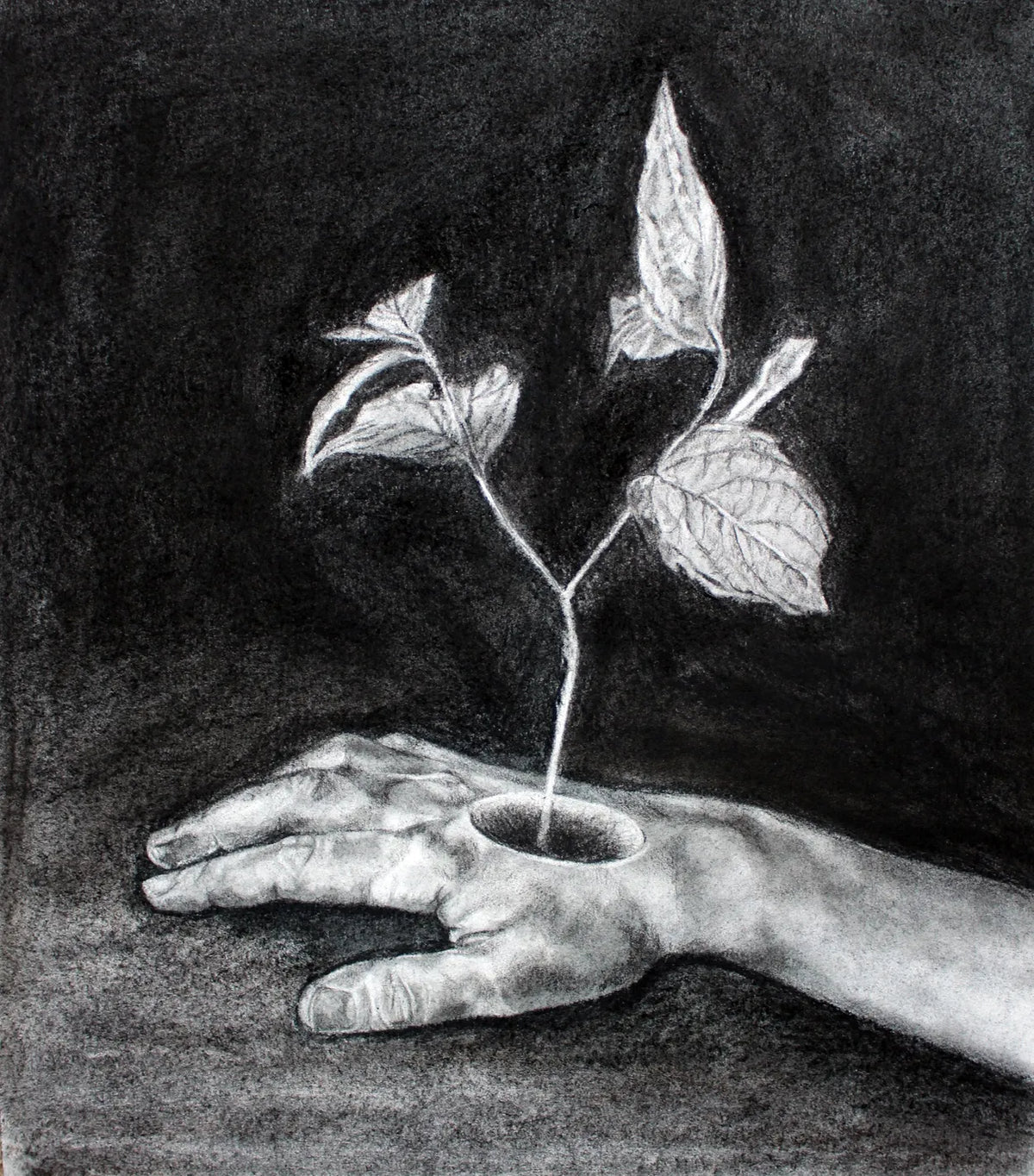 Hand by Zuzanna Salamon
