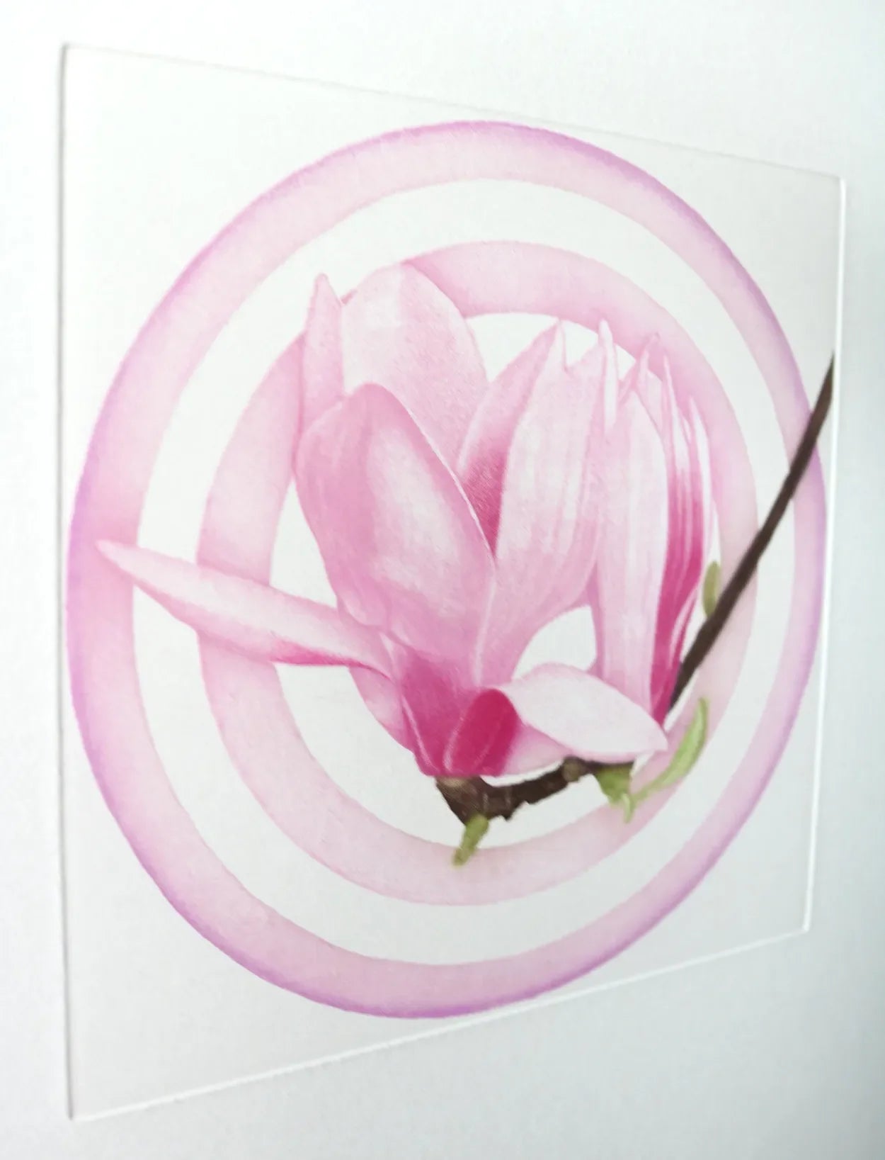 Magnolia Light 2 by Emiko Aida, detail 1