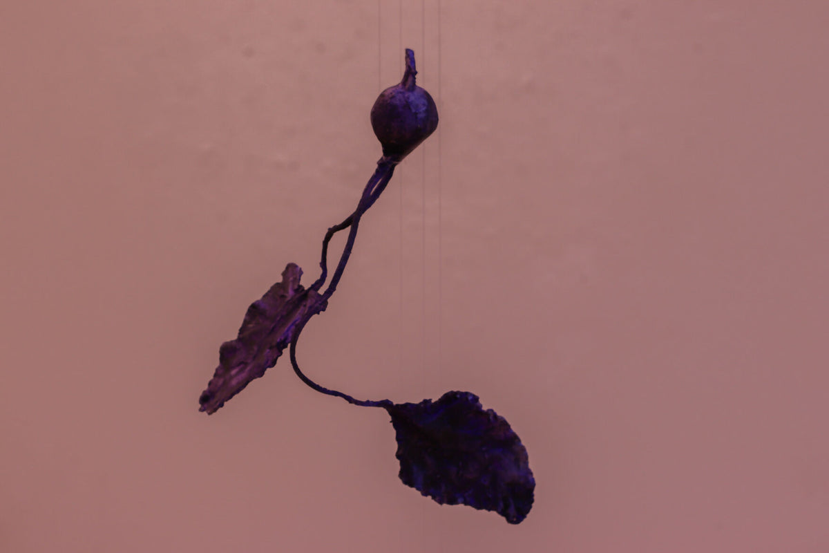 erleichda