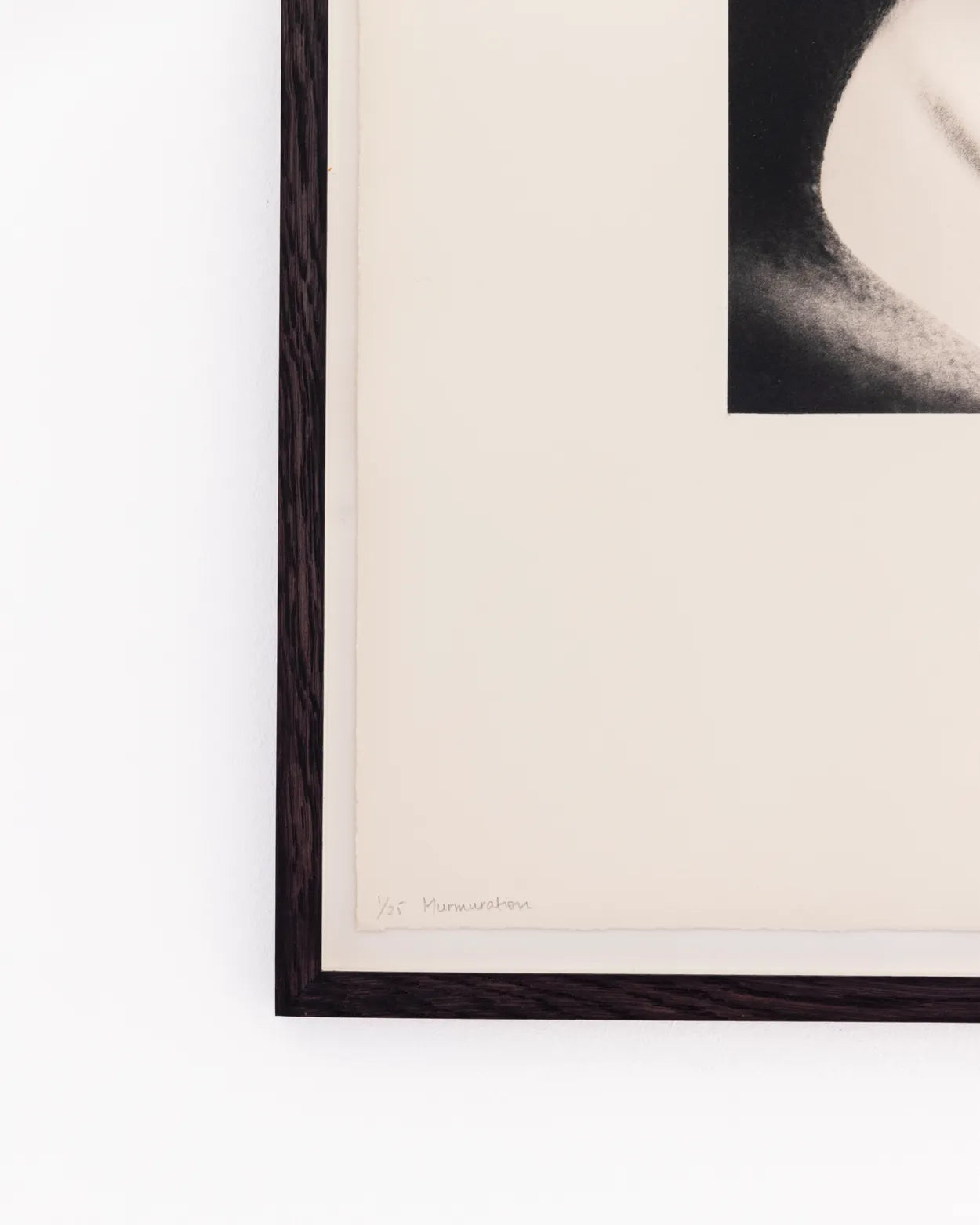 Murmuration - Unframed by Kirti Virmani