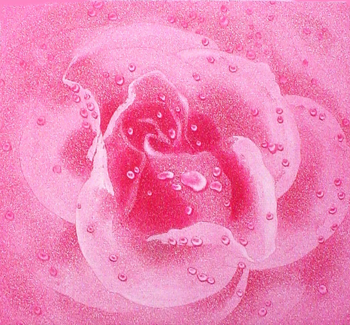 Secret of the Pink Rose by Emiko Aida
