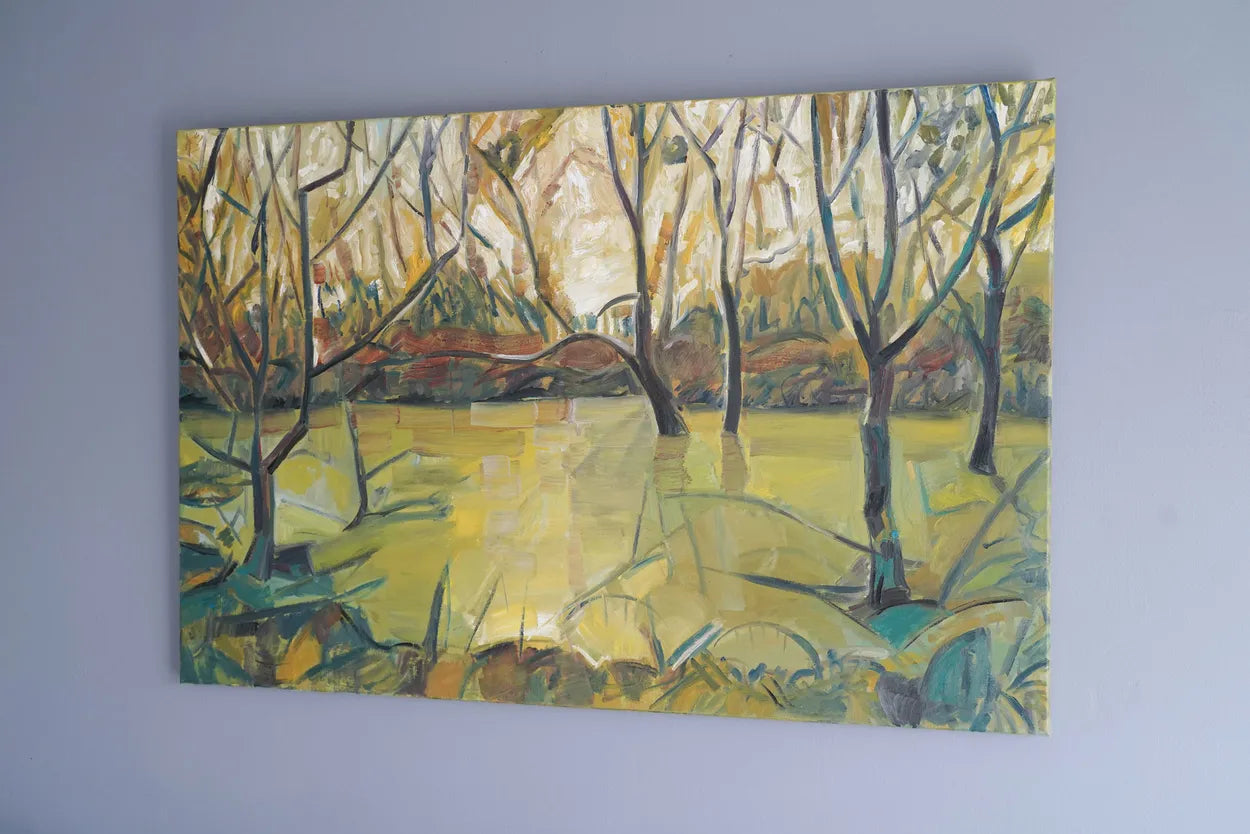 Shapwick Heath by Scott Whiteman
