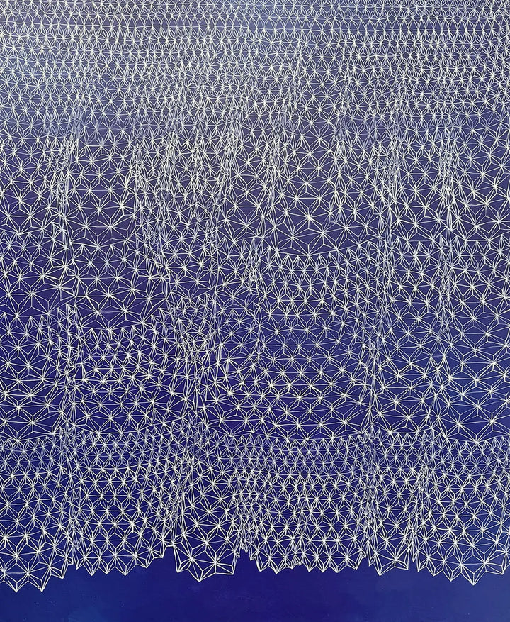 Through a Veil by Sara Willett