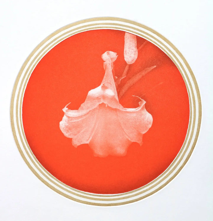 White Flower 3 by Emiko Aida, original printmaking