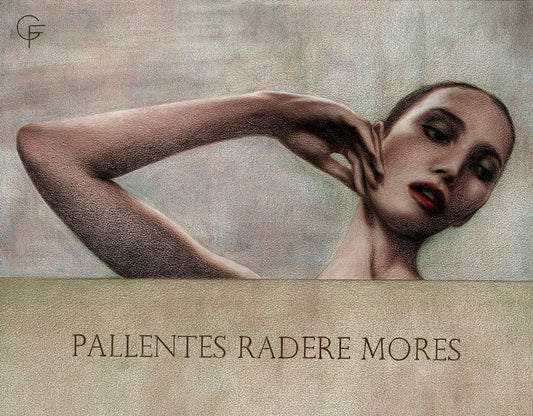 #006 Literary Echoes