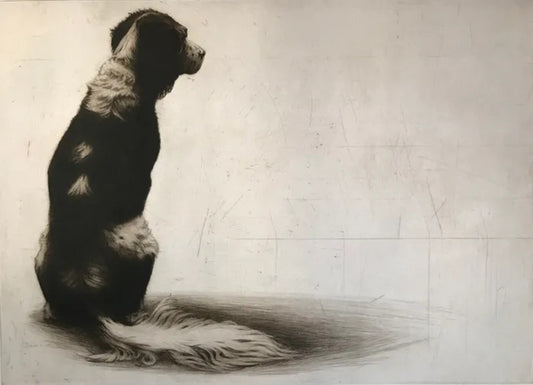 Phoebe by Helen Fay, original printmaking