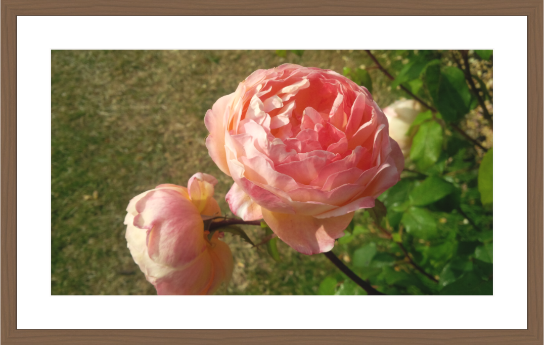 Main image Late Summer