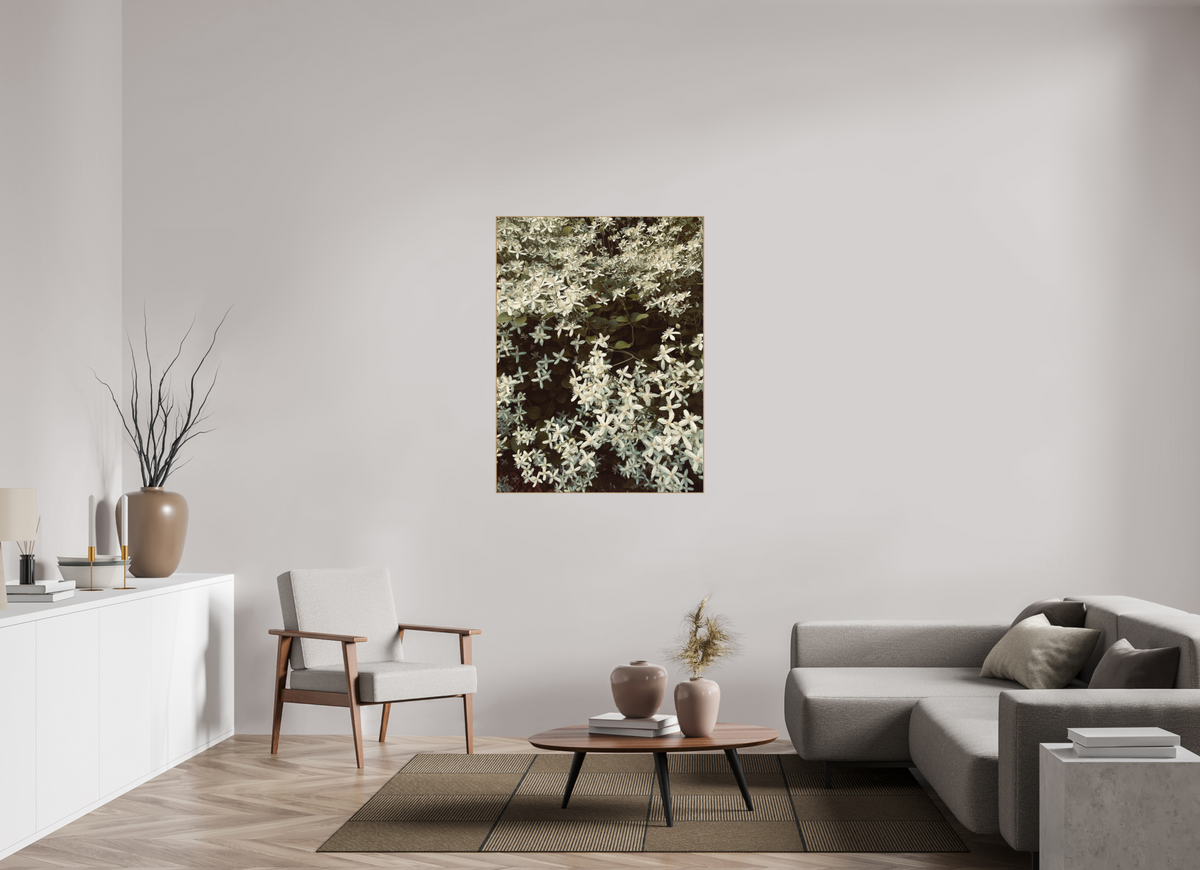 90 x 120 cm, PIGMENT ARTBOX NATURAL OAK Sweet Autumn Clematis