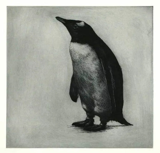 Hmm... Fish by Helen Fay, original printmaking