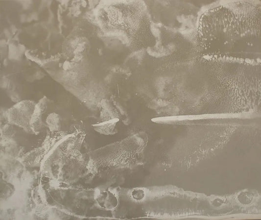 Anthropocene #4 by Emily Carrell, original photography