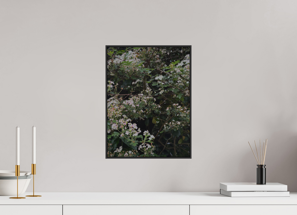 30 x 40 cm, ALU BRUSHED SILVER ARTBOX BLACK May Blossom
