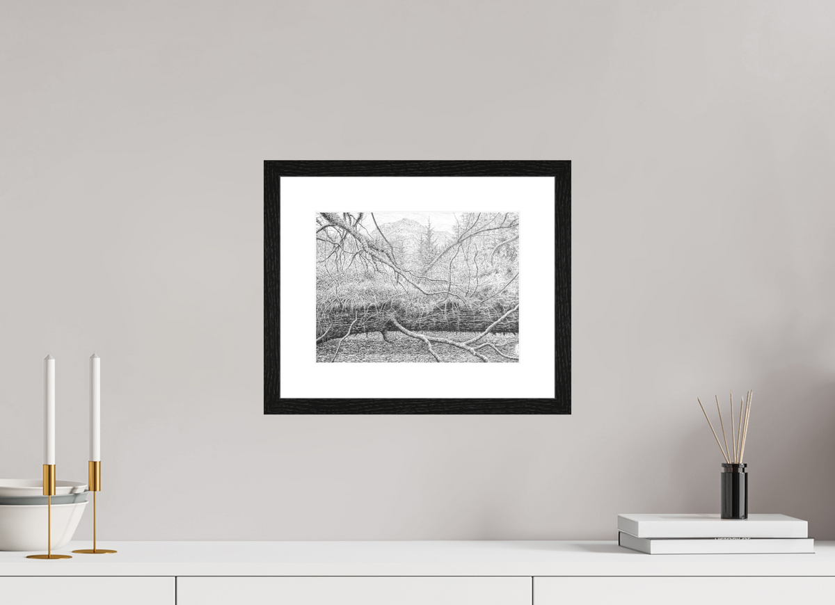 28 x 21 cm, PIGMENT FRAMED BLACK OAK Below the World (Am Baile Mòr, Flowerdale Glen, Scotland), 2024