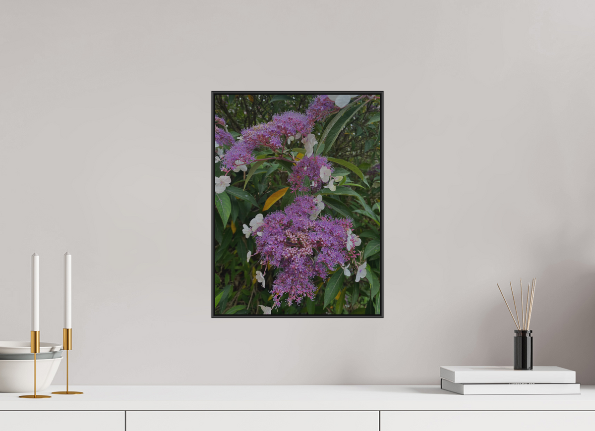 30 x 40 cm, ALU BRUSHED SILVER ARTBOX BLACK Lilac Lacecap