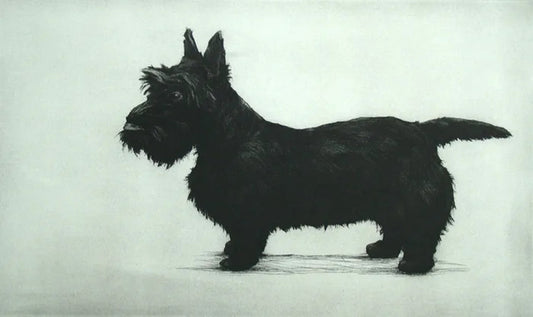 Brodie Standing by Helen Fay, original printmaking