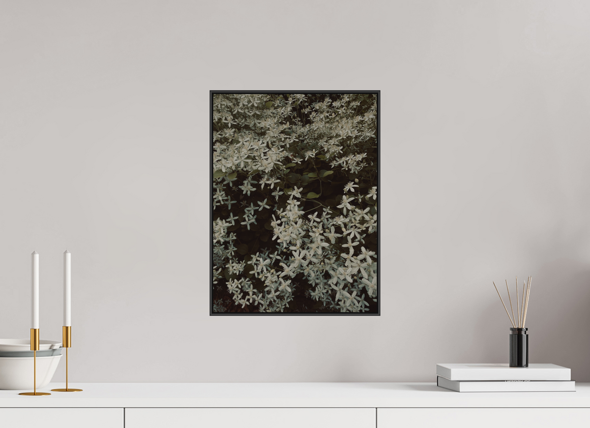 30 x 40 cm, ALU BRUSHED SILVER ARTBOX BLACK Sweet Autumn Clematis
