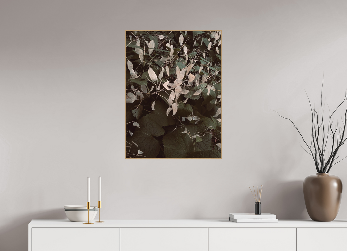 60 x 80 cm, PIGMENT ARTBOX NATURAL OAK Perennial Honesty