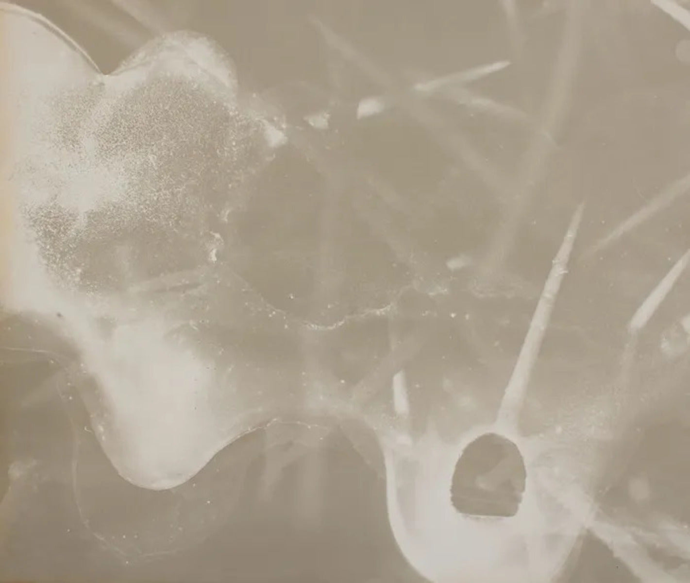Anthropocene #3
