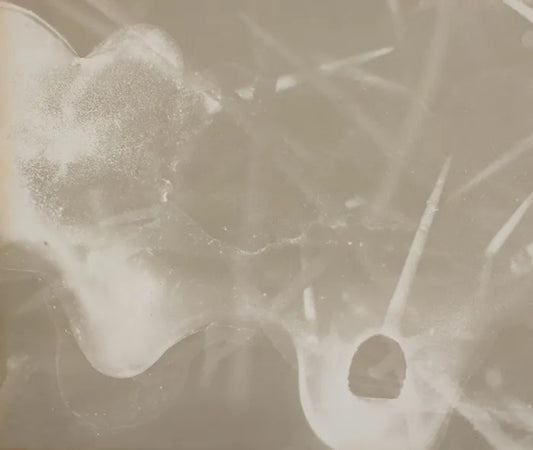 Anthropocene #3 by Emily Carrell, original photography