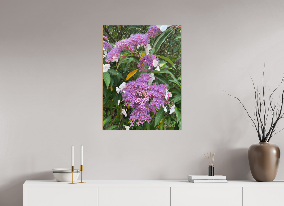 60 x 80 cm, PIGMENT ARTBOX NATURAL OAK Lilac Lacecap
