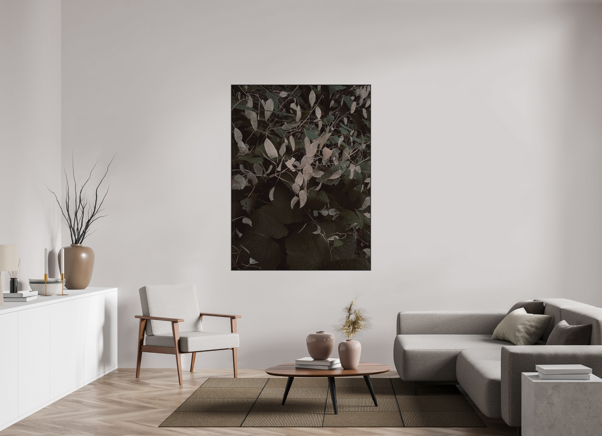 120 x 160 cm, ALU BRUSHED SILVER ARTBOX BLACK Perennial Honesty