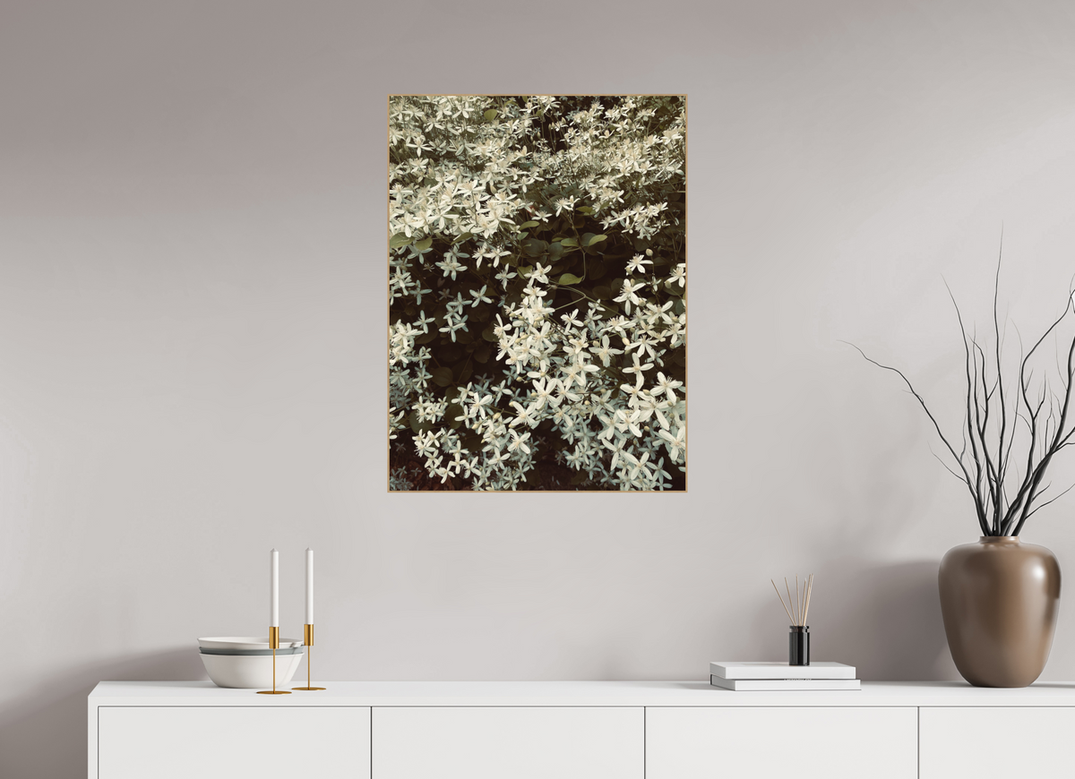 60 x 80 cm, PIGMENT ARTBOX NATURAL OAK Sweet Autumn Clematis