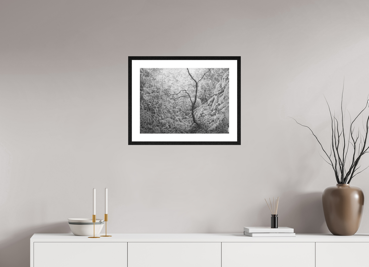 54 x 40 cm, PIGMENT FRAMED BLACK OAK Waiting, 2026