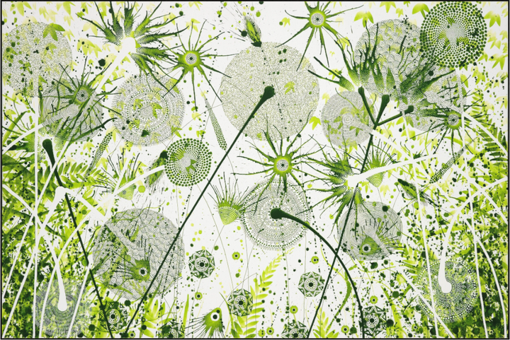 Elymus 5