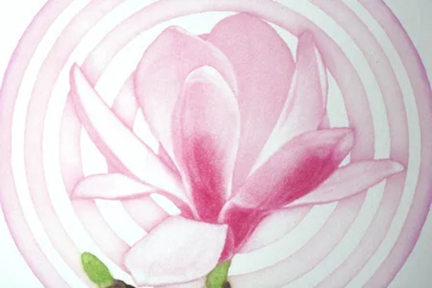 Magnolia Light 1 by Emiko Aida, detail 2