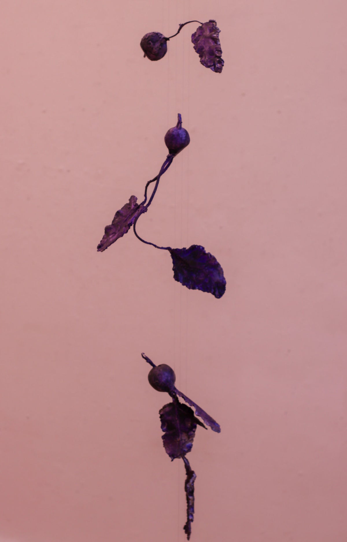 erleichda