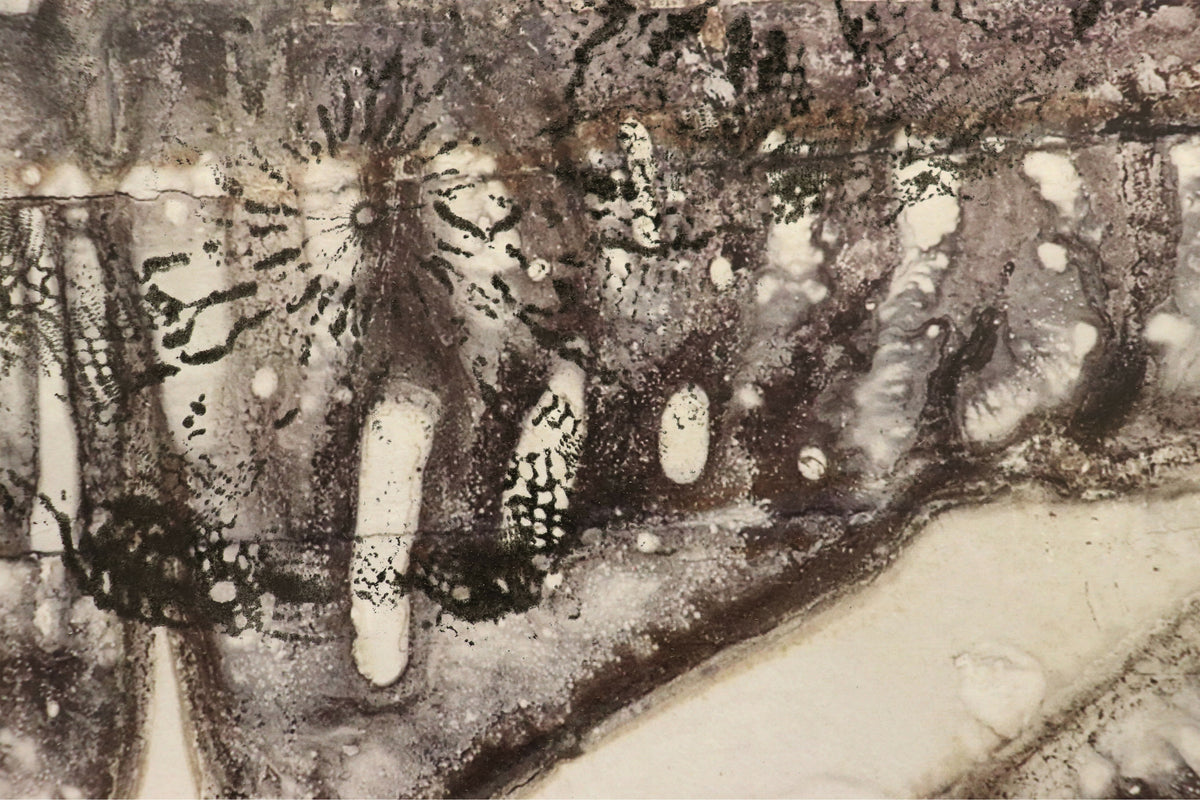 Underbelly exhibited by Mieke Shaw, original artwork