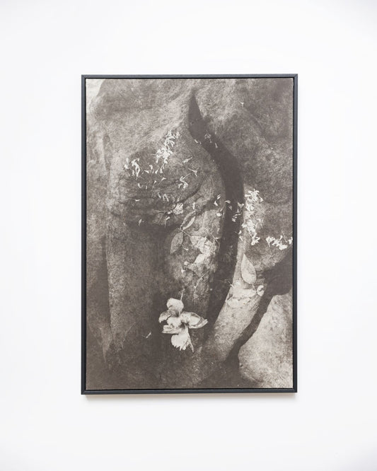 Reverence in Stone III by Kirti Virmani, original printmaking