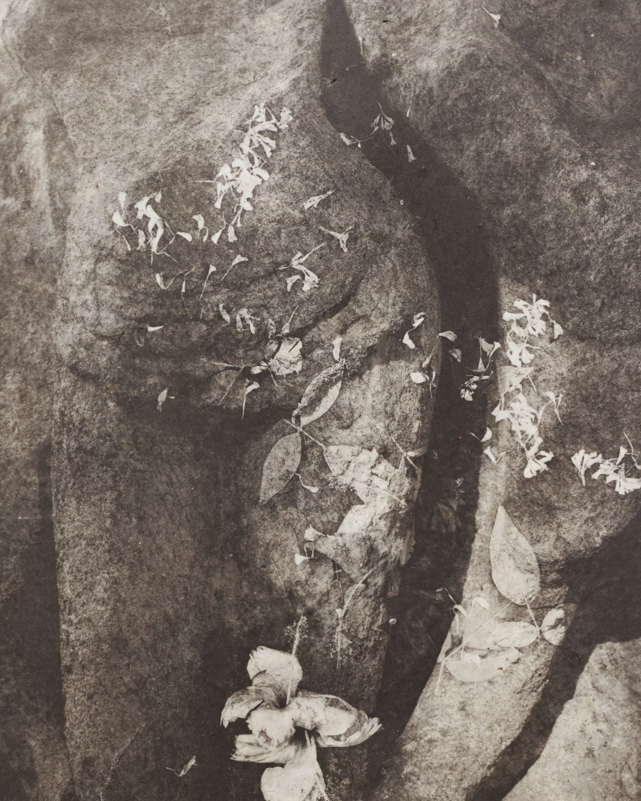 Reverence in stone III