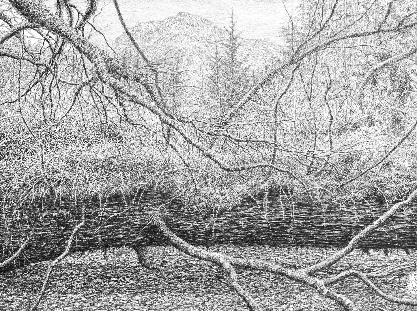 Below the World (Am Baile Mòr, Flowerdale Glen, Scotland), 2024 by Blake Milteer