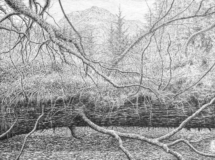 Below the World (Am Baile Mòr, Flowerdale Glen, Scotland), 2024 by Blake Milteer