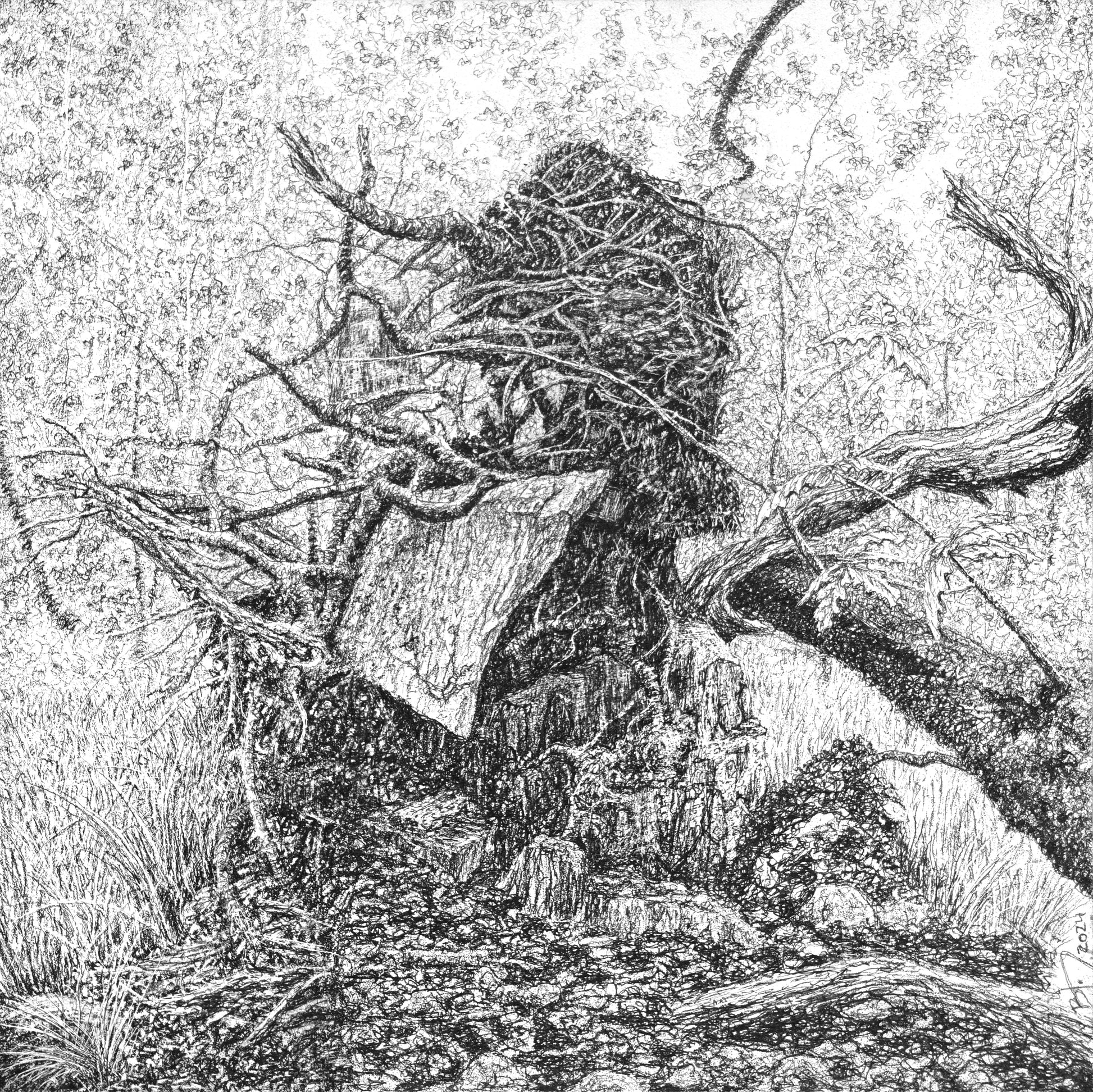 Extraction (Root Plate), 2024 by Blake Milteer