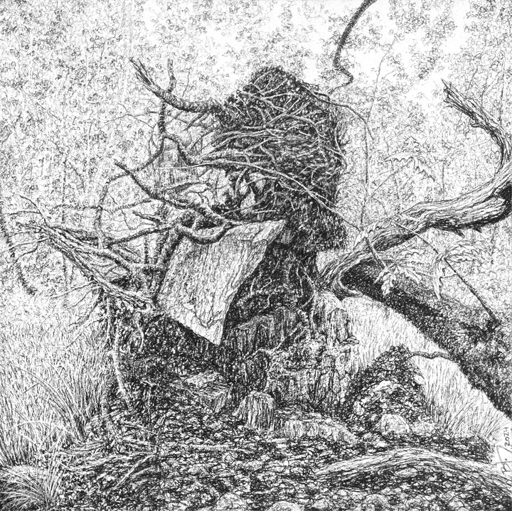 Extraction (Root Plate), 2024 by Blake Milteer