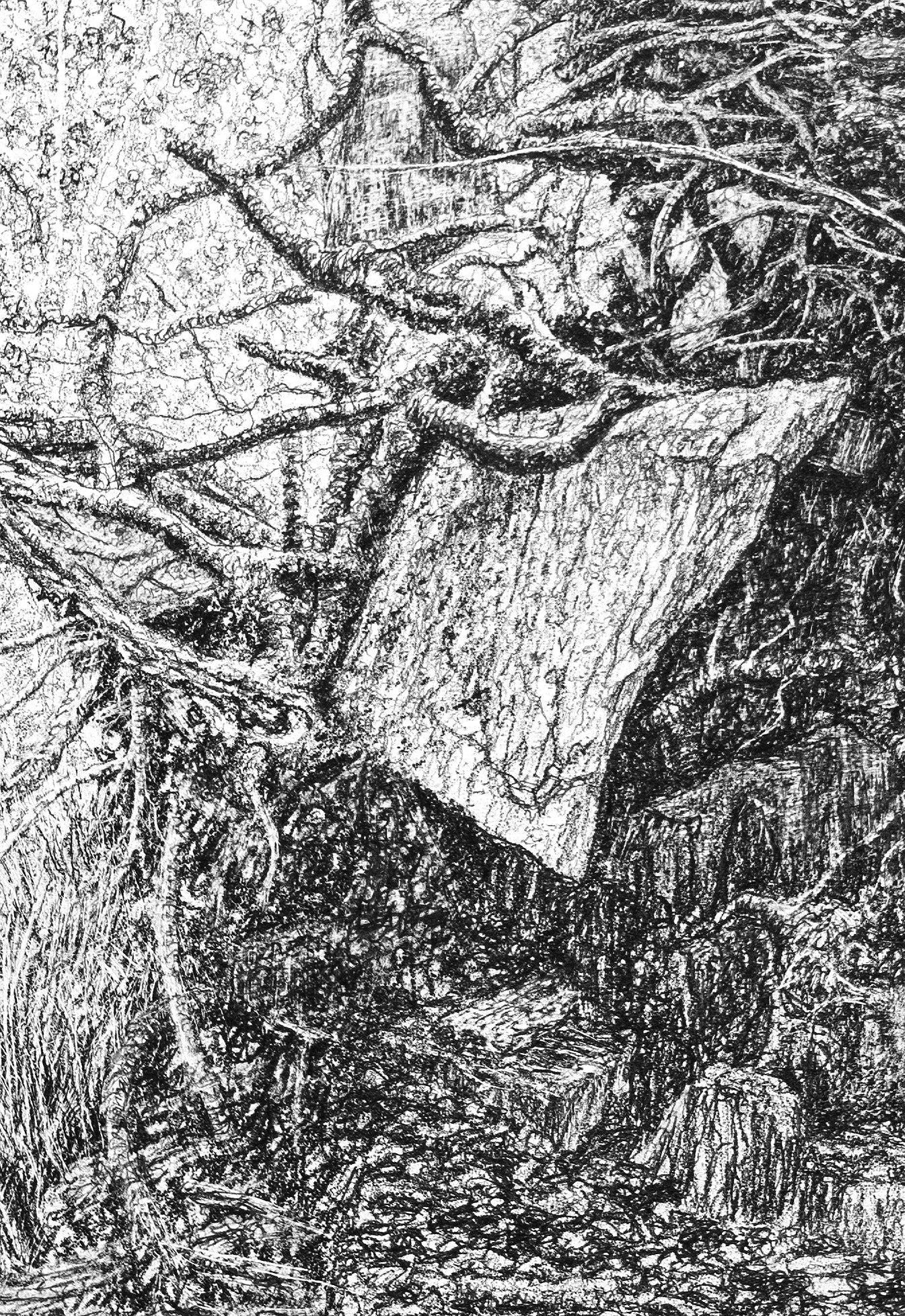 Extraction (Root Plate), 2024 by Blake Milteer